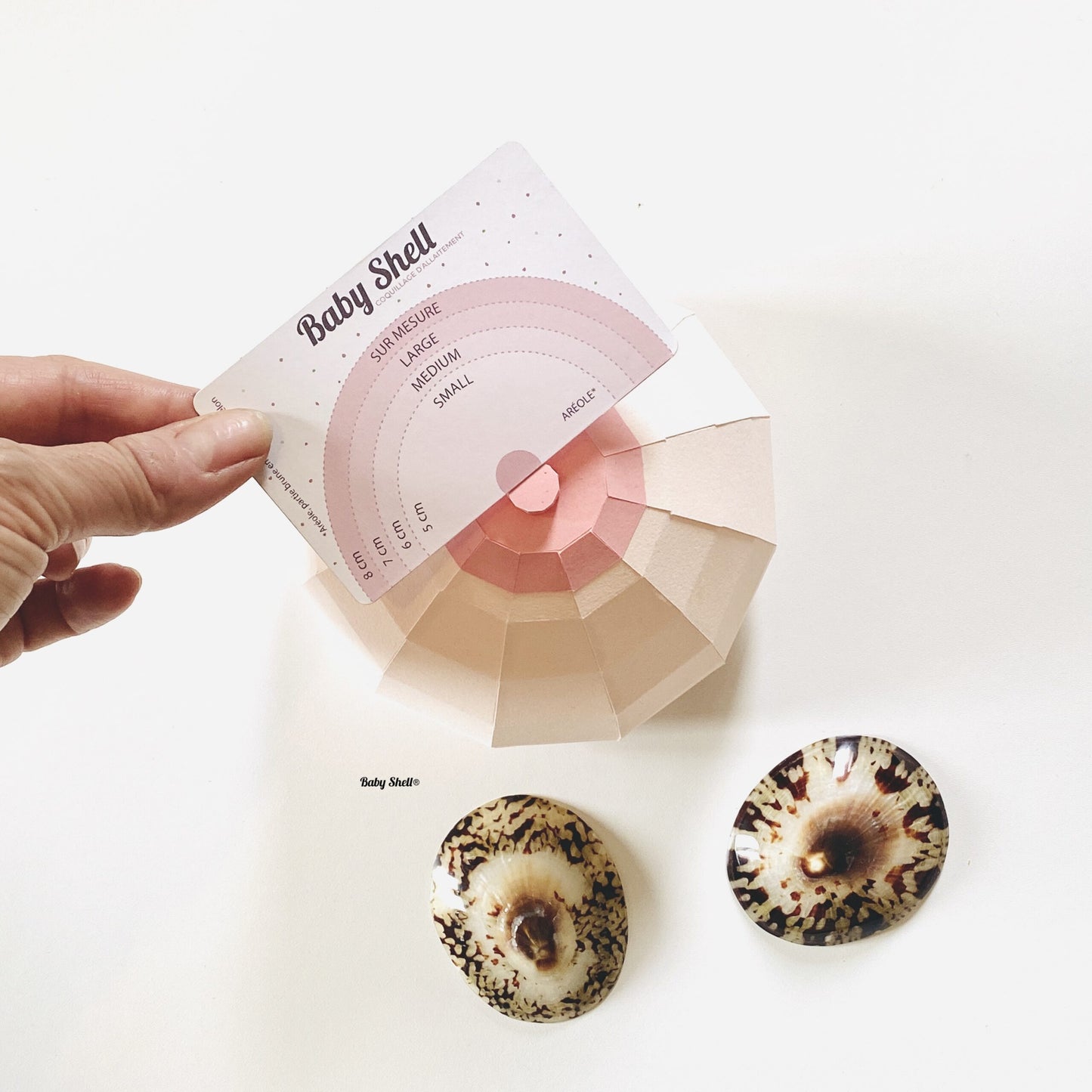 COQUILLAGES D'ALLAITEMENT