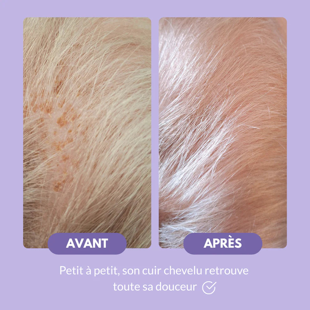 SHAMPOOING CROUTES DE LAIT HONEY MOUSSE 200ML