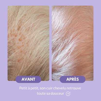 SHAMPOOING CROUTES DE LAIT HONEY MOUSSE 200ML
