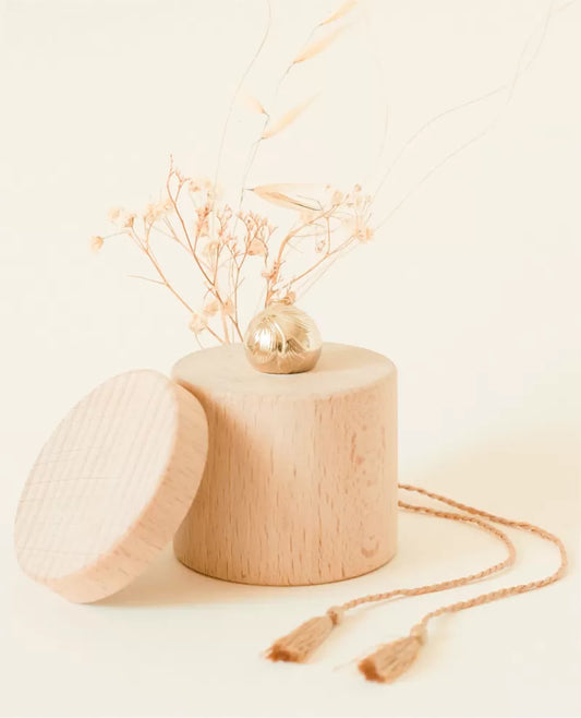 BOLA DE GROSSESSE GINKGO