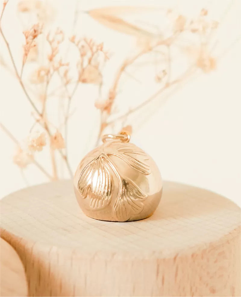BOLA DE GROSSESSE GINKGO