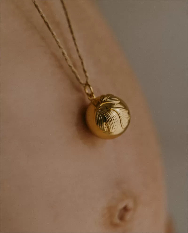 BOLA DE GROSSESSE GINKGO