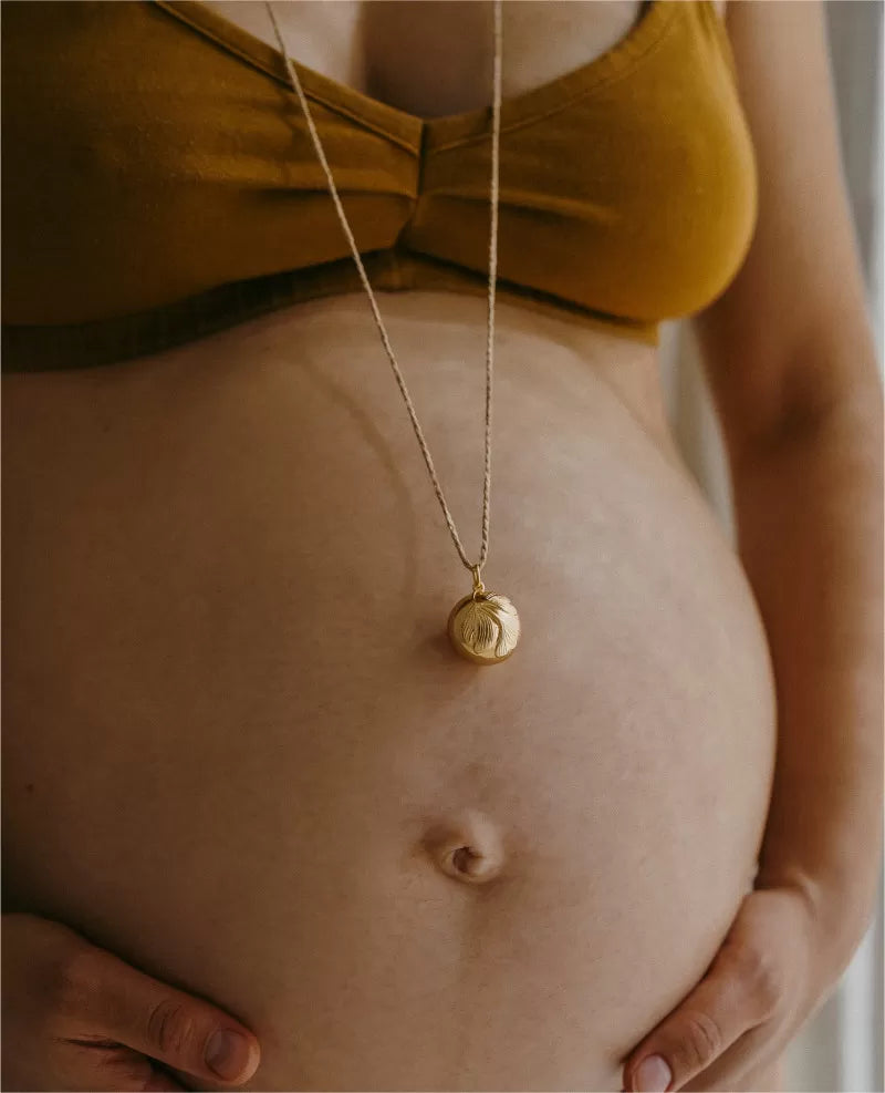 BOLA DE GROSSESSE GINKGO