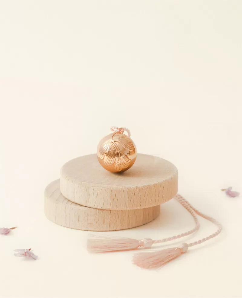 BOLA DE GROSSESSE GINKGO