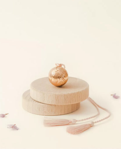 BOLA DE GROSSESSE GINKGO